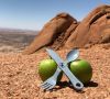 Spitzkoppe Namibia, Äpfel, "3-2-eat"-Essbesteck